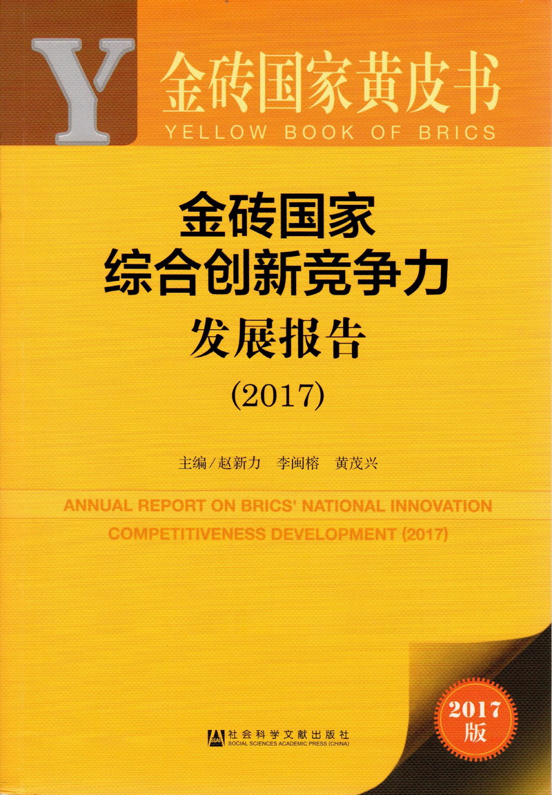 石莲秀骚逼社区一金砖国家综合创新竞争力发展报告（2017）